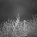 Webcam_20210120-064500