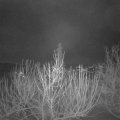 Webcam_20210120-070000
