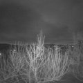 Webcam_20210120-071500