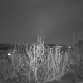 Webcam_20210120-174500
