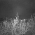 Webcam_20210120-180000