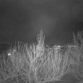 Webcam_20210120-183000