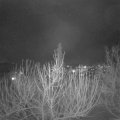Webcam_20210120-184500