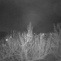 Webcam_20210120-193000