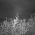 Webcam_20210120-194500