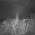 Webcam_20210120-200000