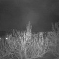 Webcam_20210120-201500
