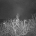 Webcam_20210120-203000
