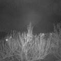Webcam_20210120-204500