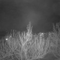Webcam_20210120-211500
