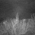Webcam_20210120-213000