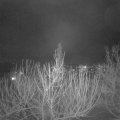 Webcam_20210120-220000