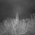 Webcam_20210121-054500