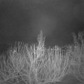 Webcam_20210121-064500
