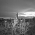 Webcam_20210121-073000