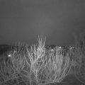Webcam_20210121-174500