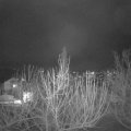 Webcam_20210121-183000