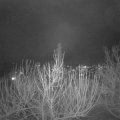 Webcam_20210121-184500