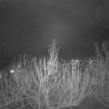 Webcam_20210121-191500