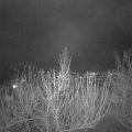 Webcam_20210121-193000