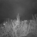 Webcam_20210121-194500