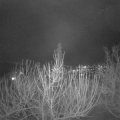 Webcam_20210121-200000