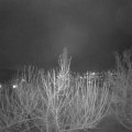 Webcam_20210121-201500