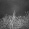 Webcam_20210121-204500