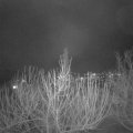 Webcam_20210121-210000