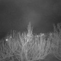 Webcam_20210121-211500