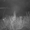 Webcam_20210121-213000