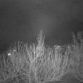 Webcam_20210121-214500