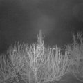 Webcam_20210122-053000