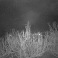 Webcam_20210122-054500