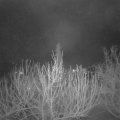 Webcam_20210122-061500