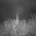 Webcam_20210122-063000