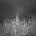 Webcam_20210122-064500