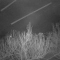 Webcam_20210122-071500