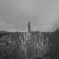 Webcam_20210122-074500