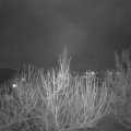 Webcam_20210122-200000