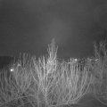 Webcam_20210122-203000