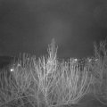 Webcam_20210122-204500