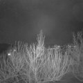 Webcam_20210122-211500
