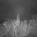 Webcam_20210122-214500