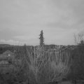 Webcam_20210123-173000