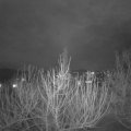 Webcam_20210123-180000