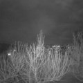Webcam_20210123-181500