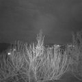 Webcam_20210123-183000