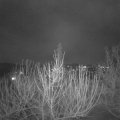 Webcam_20210123-184500