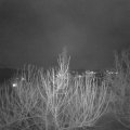 Webcam_20210123-191500